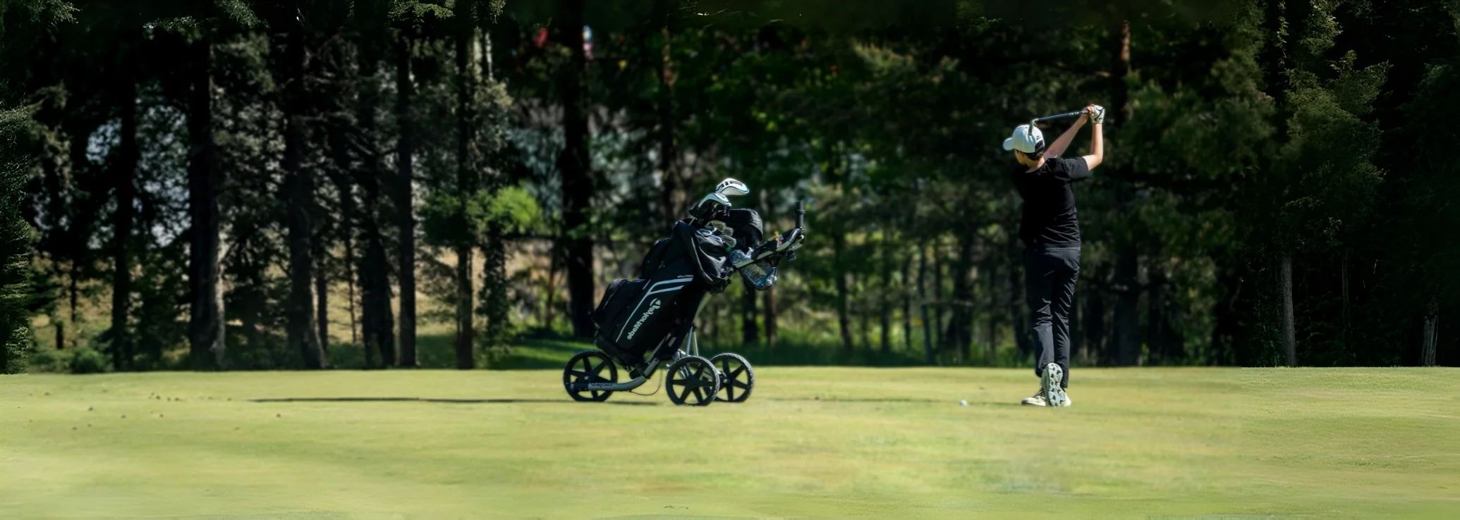 Главный баннер