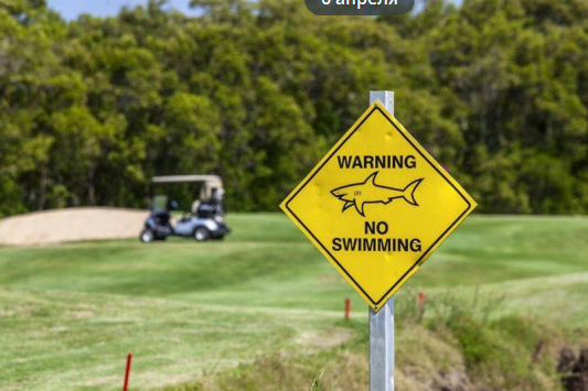 Австралийский гольф-клуб - реальная угроза жизни? Австралийский гольф-клуб - реальная угроза жизни?