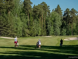 Гольф: как игра стала символом культуры и престижа